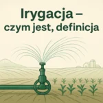 Irygacja – czym jest, definicja