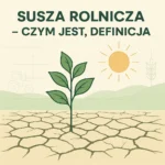 Susza rolnicza – czym jest, definicja
