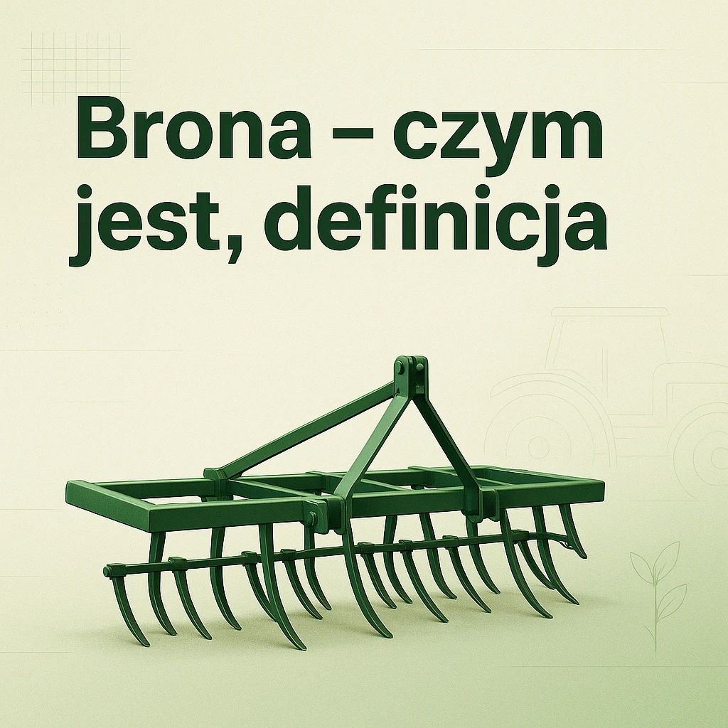 Brona – czym jest, definicja