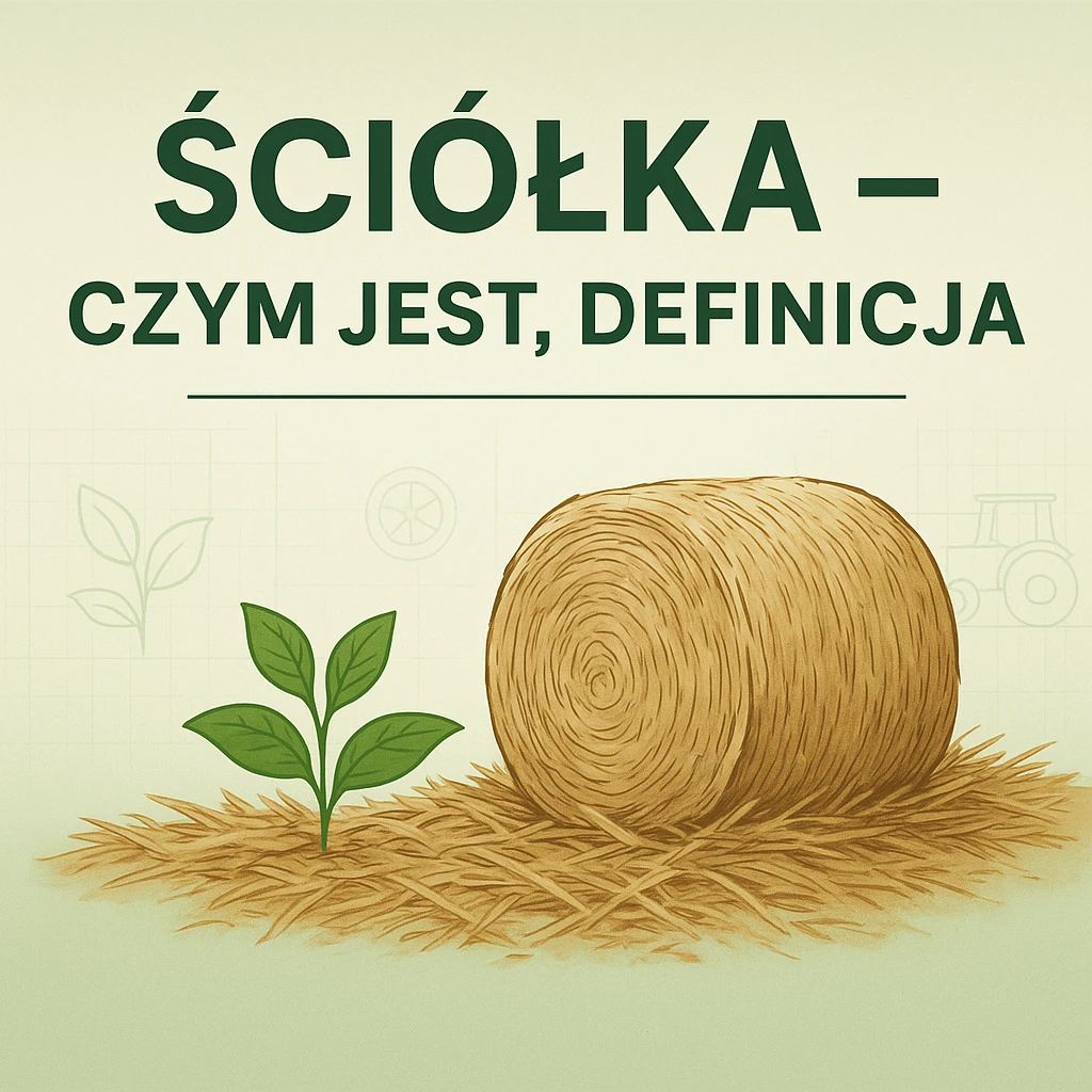 Ściółka – czym jest, definicja