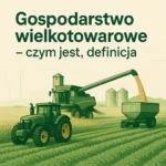 Gospodarstwo wielkotowarowe – czym jest, definicja