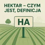 Hektar – czym jest, definicja