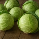 Kapusta biała na kiszenie – dobór odmian pod przetwórstwo