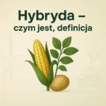 Hybryda – czym jest, definicja