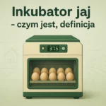 Inkubator jaj – czym jest, definicja