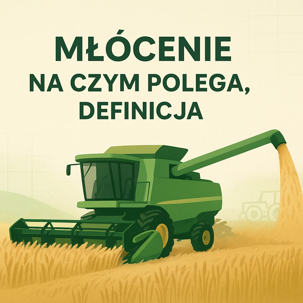 Młócenie – na czym polega, definicja