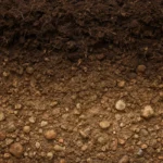Gleby murszowo-mineralne