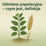 Odmiana populacyjna – czym jest, definicja