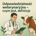 Odpowiedzialność weterynaryjna – czym jest, definicja