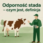 Odporność stada – czym jest, definicja