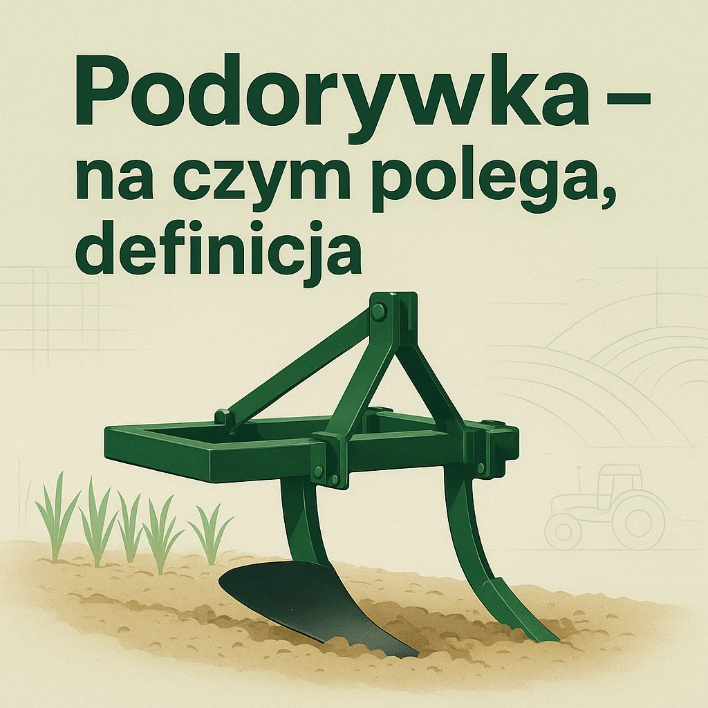 Podorywka – na czym polega, definicja