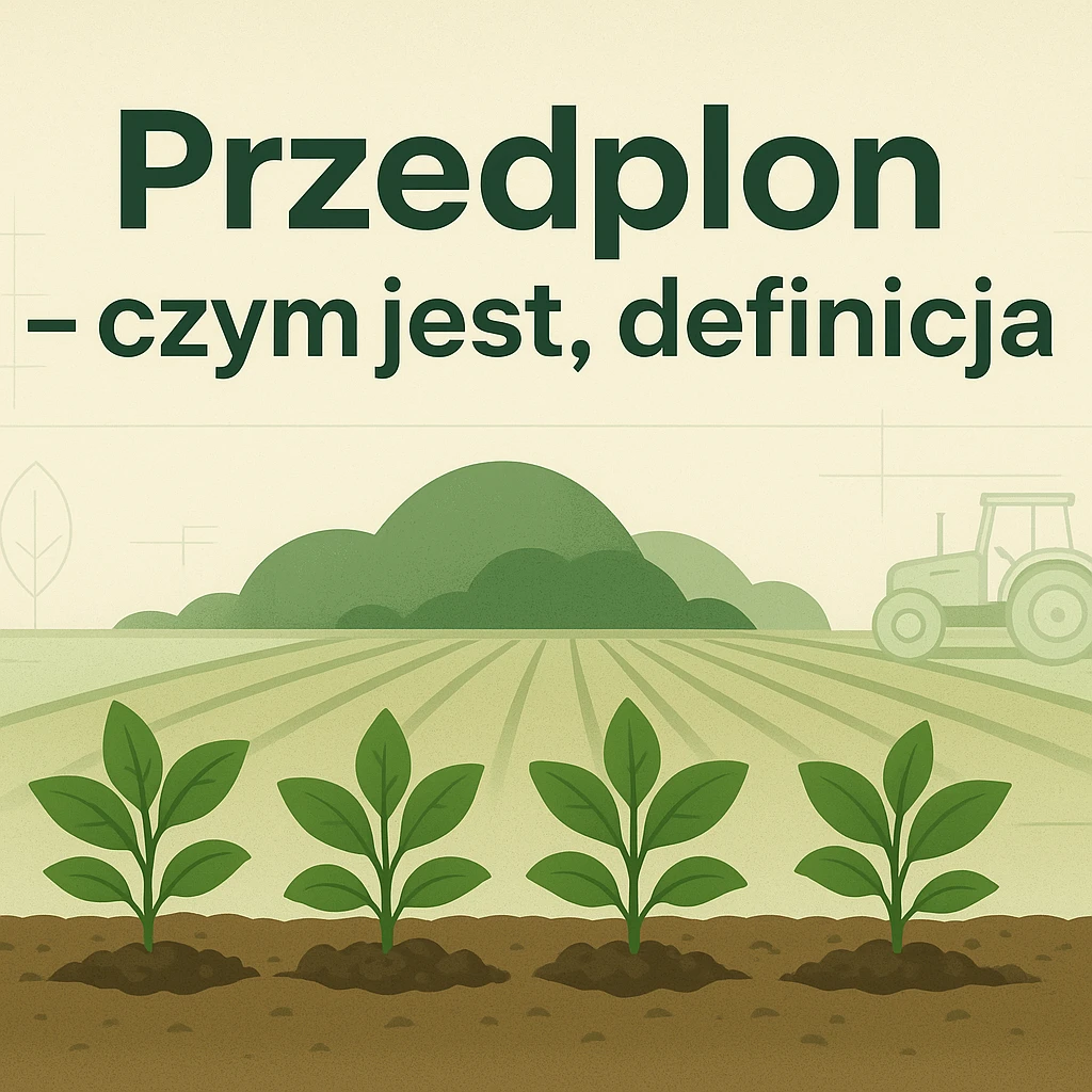 Przedplon – czym jest, definicja