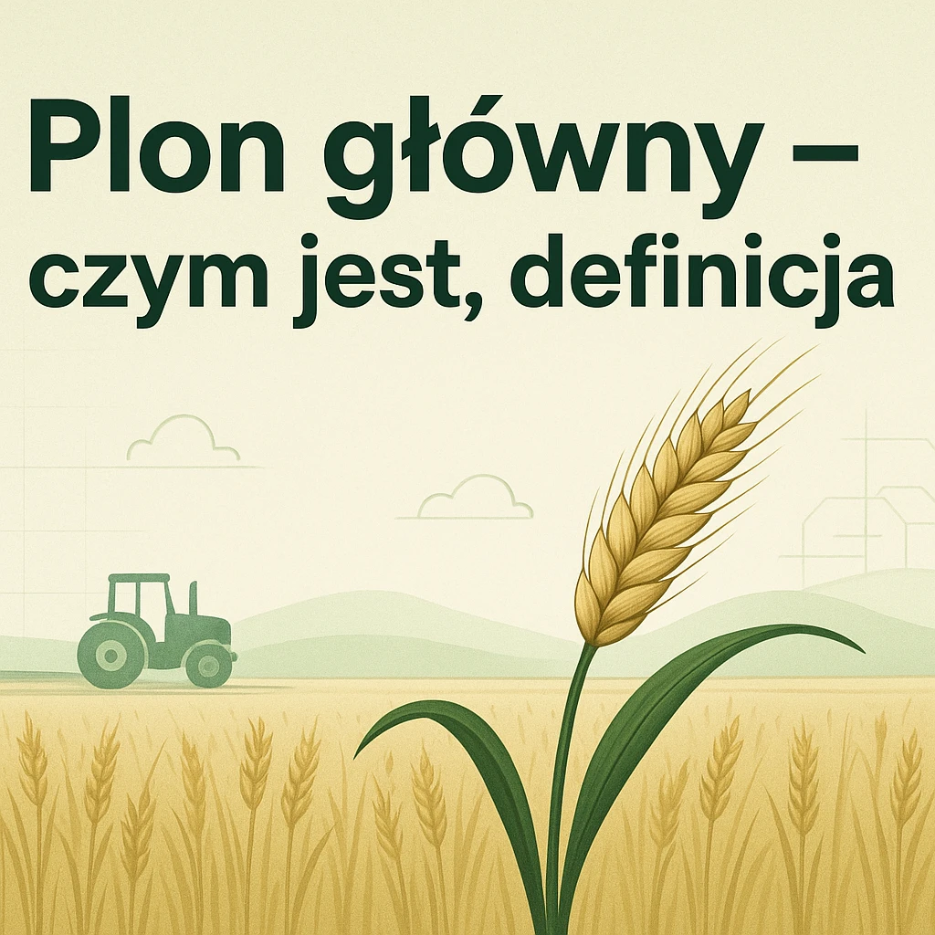 Plon główny – czym jest, definicja