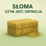 Słoma – czym jest, definicja