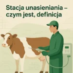 Stacja unasieniania – czym jest, definicja