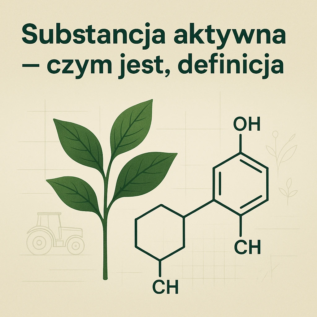Substancja aktywna – czym jest, definicja