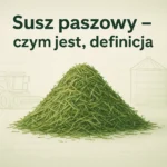 Susz paszowy – czym jest, definicja