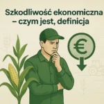 Szkodliwość ekonomiczna – czym jest, definicja