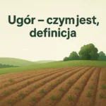 Ugór – czym jest, definicja