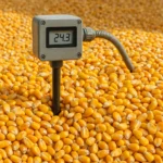 Automatyczne systemy monitorowania temperatury ziarna