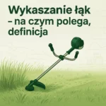 Wykaszanie łąk – na czym polega, definicja