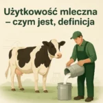 Użytkowość mleczna – czym jest, definicja