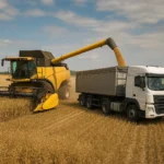 Logistyka transportu rzepaku w czasie żniw