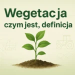 Wegetacja – czym jest, definicja