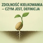 Zdolność kiełkowania – czym jest, definicja