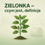 Zielonka – czym jest, definicja