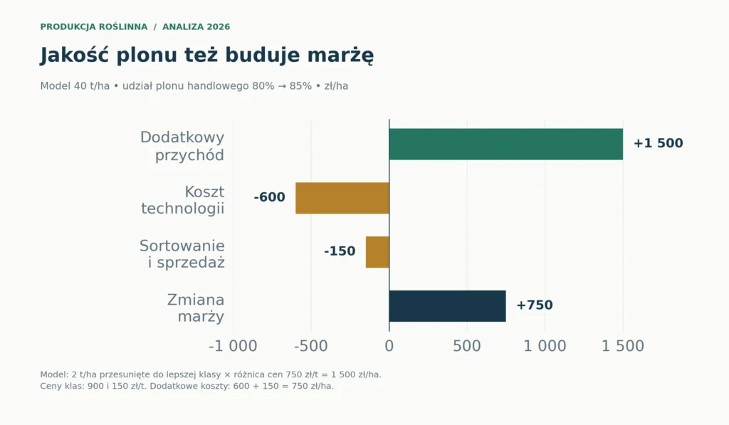 Model zmiany udziału plonu handlowego z 80% do 85% przy 40 t/ha