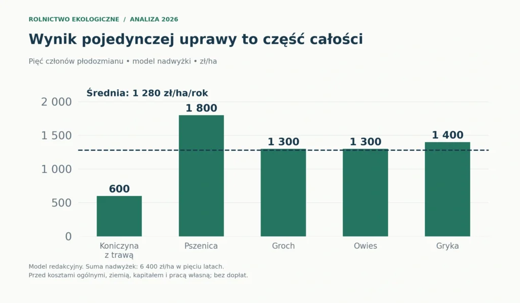 Model redakcyjny pięciu członów płodozmianu